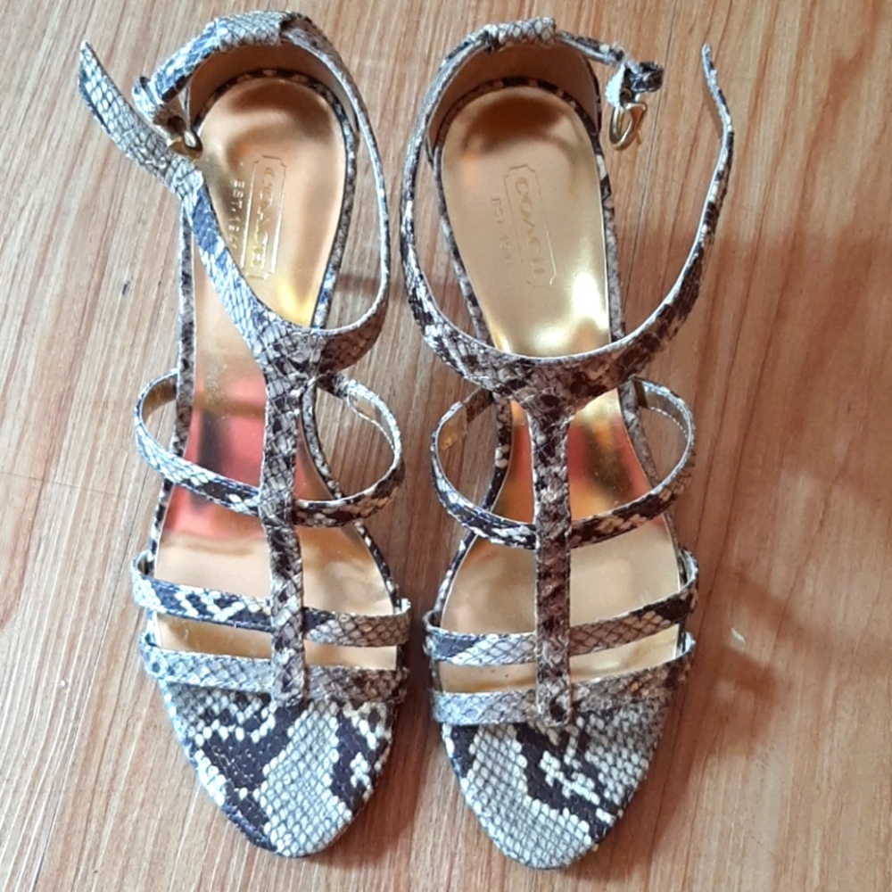 Coach Hayden snake print size 8